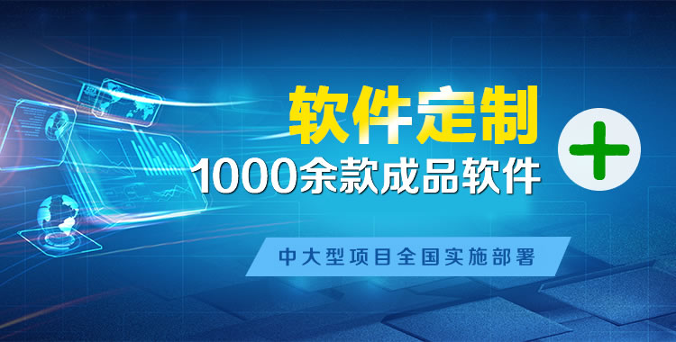 泰和软件开发